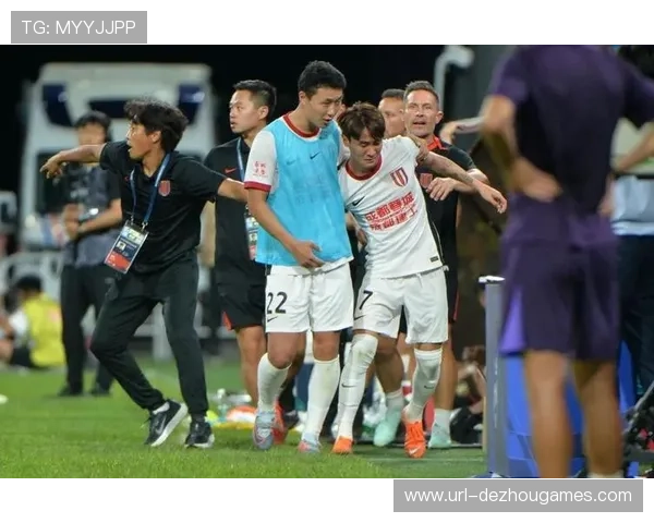 球场安全措施加强，德甲应对球迷事件新规